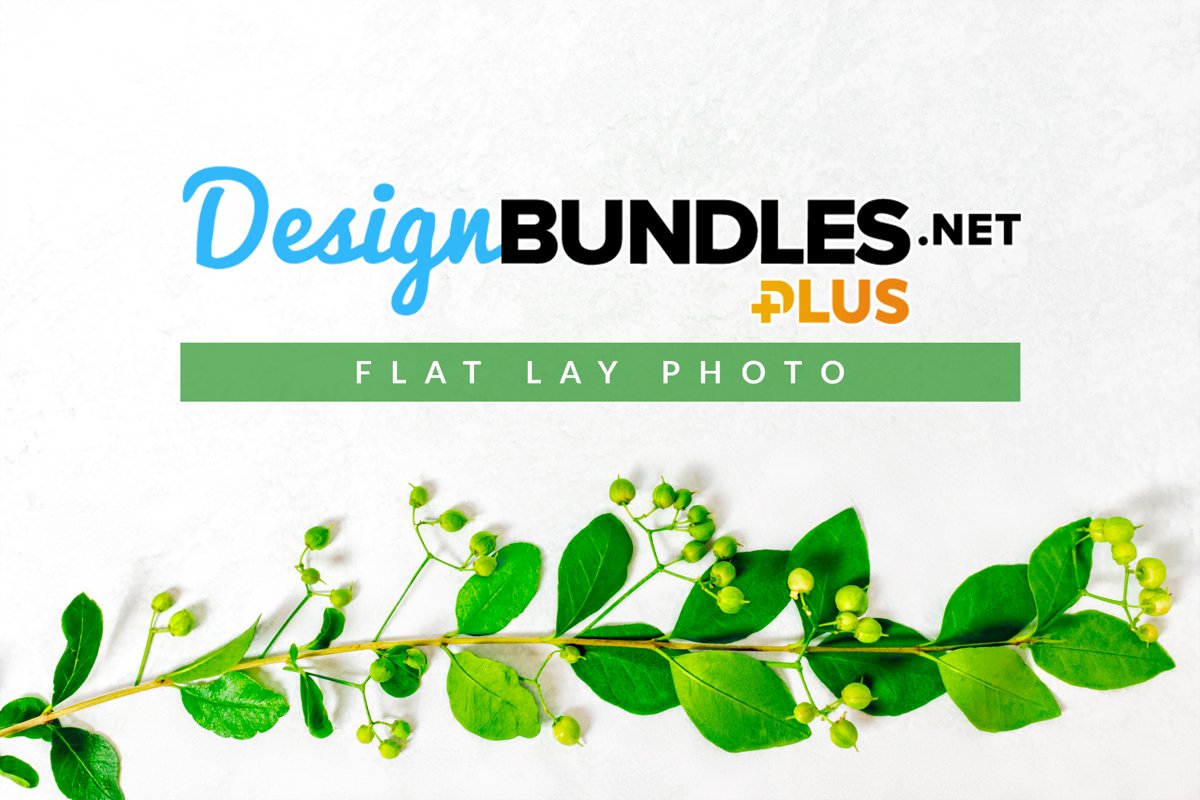 Leaves and Green Berries | Flat Lay Photo example image 1