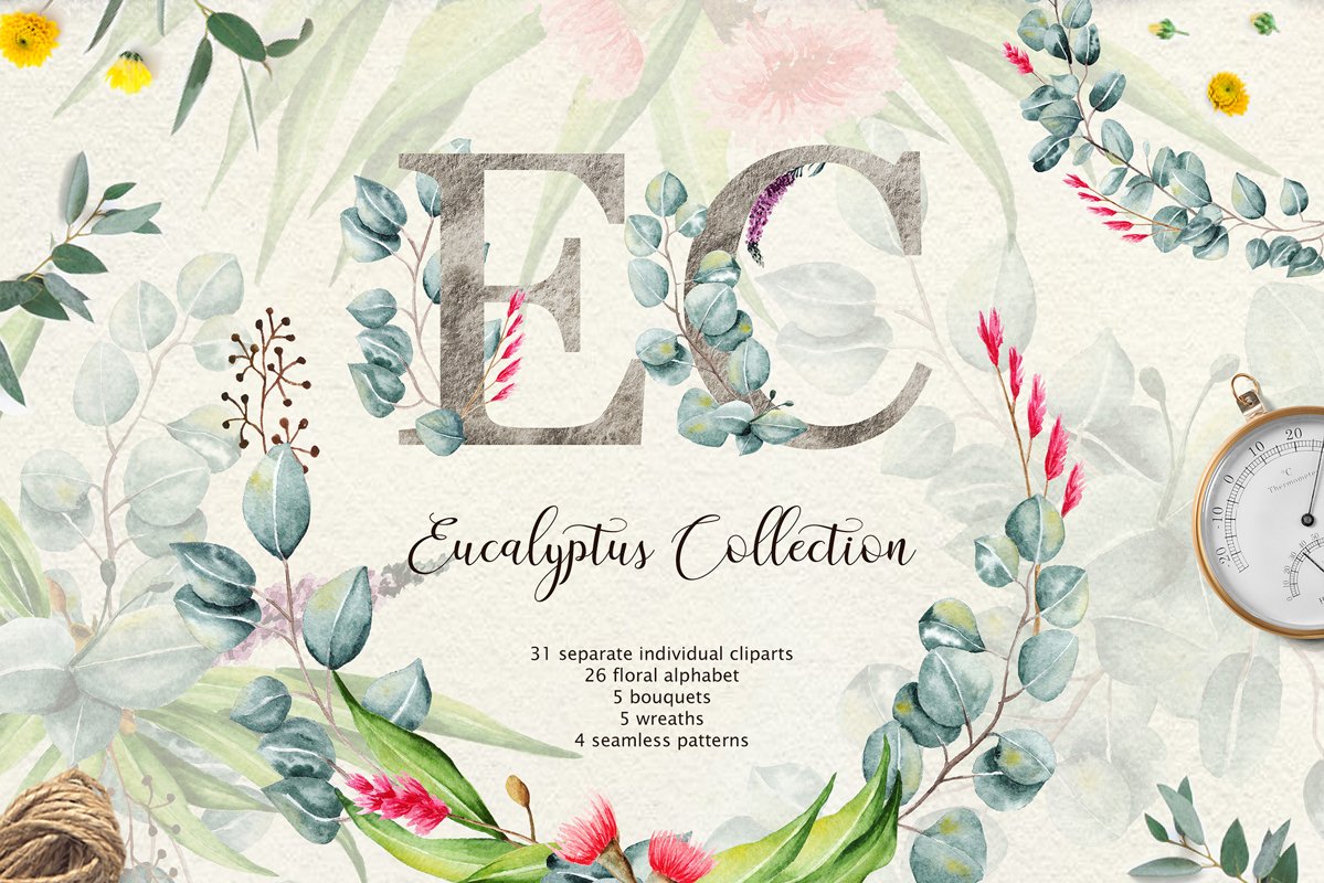 Eucalyptus CollectionLetter example image 1