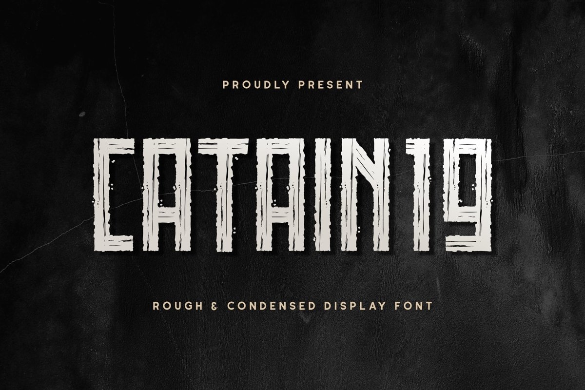 CATAIN19 example image 1