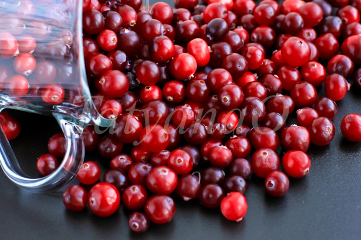 Cranberries background example image 1