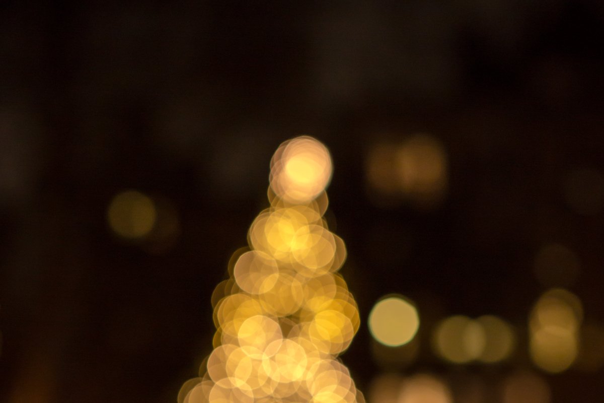 Blurred tree in lights example image 1