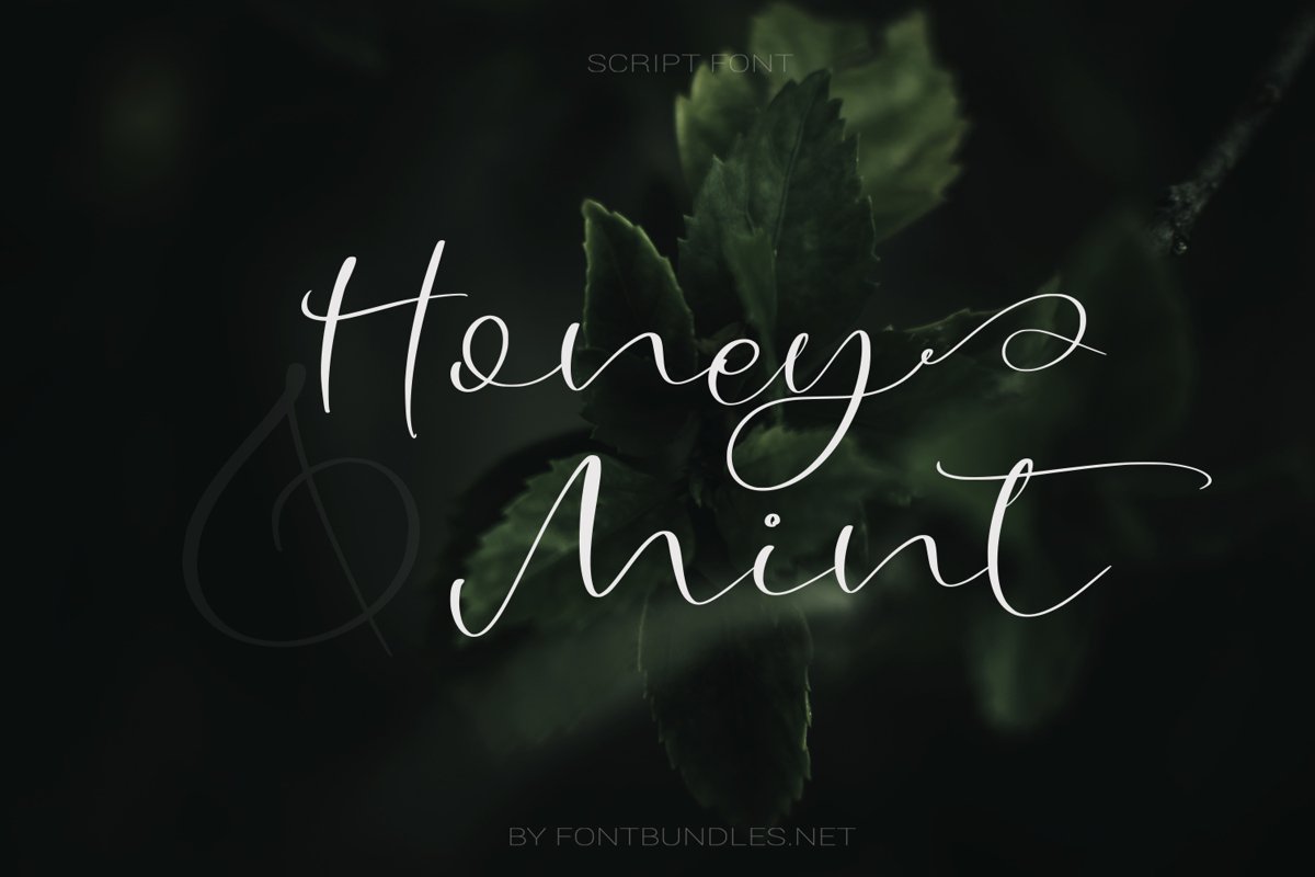 Honey & Mint Script Font example image 1