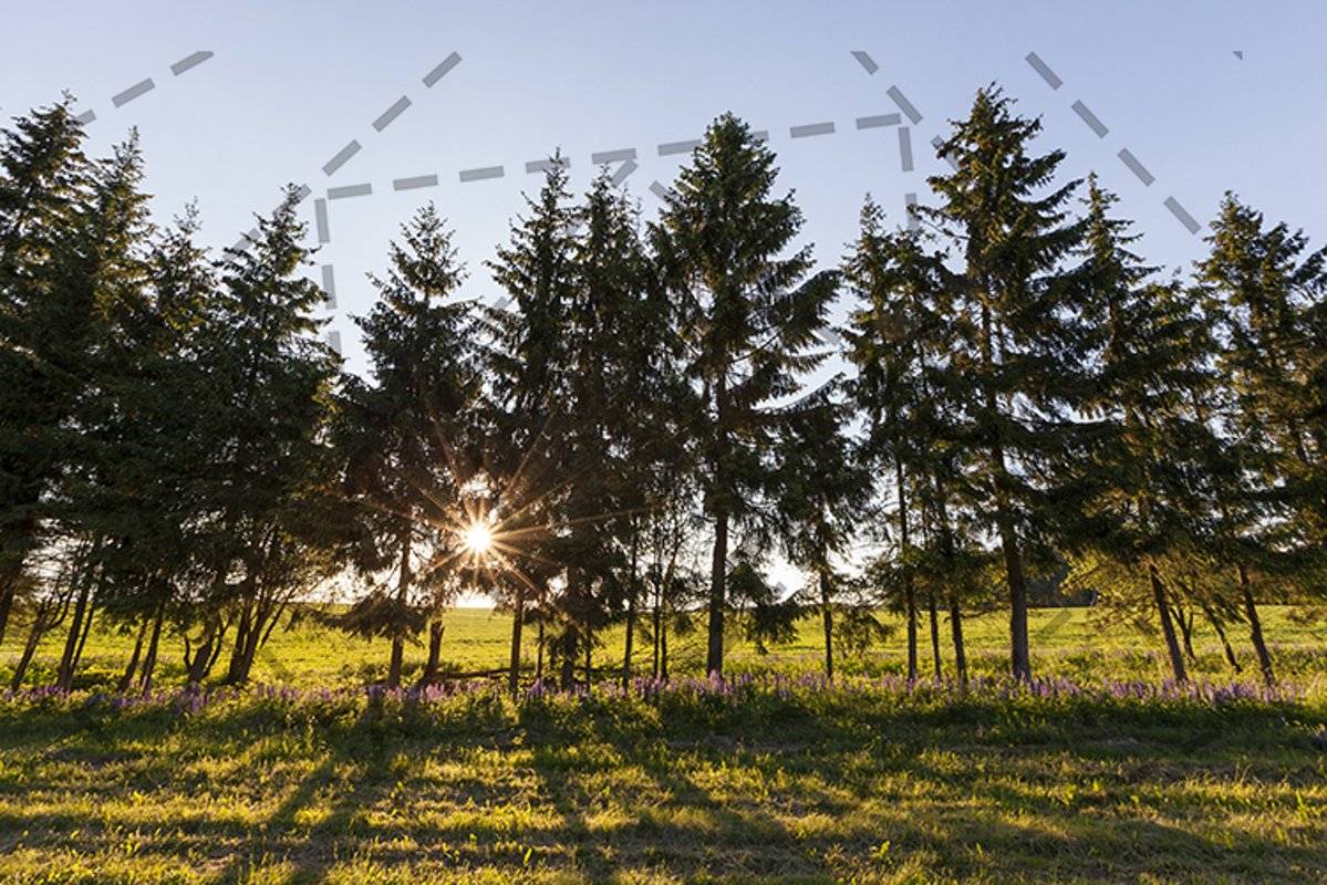 landscape during sunset , example image 1