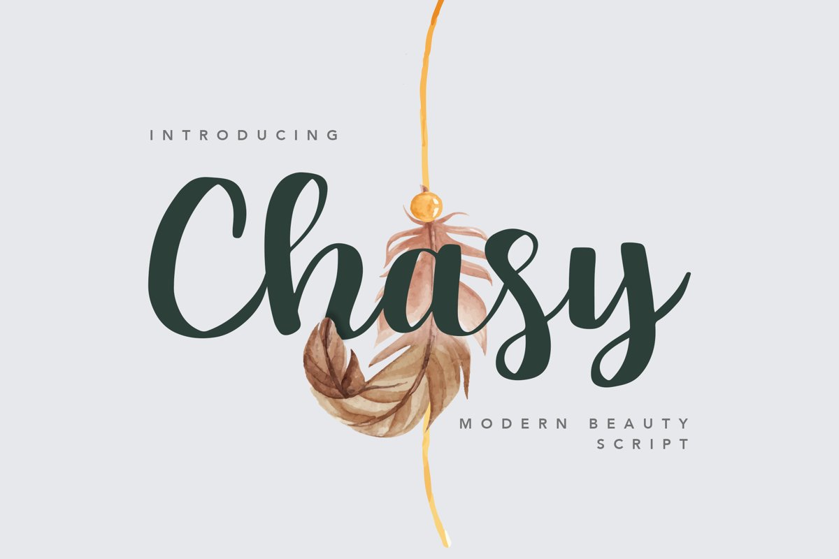 Chasy Beauty Font example image 1