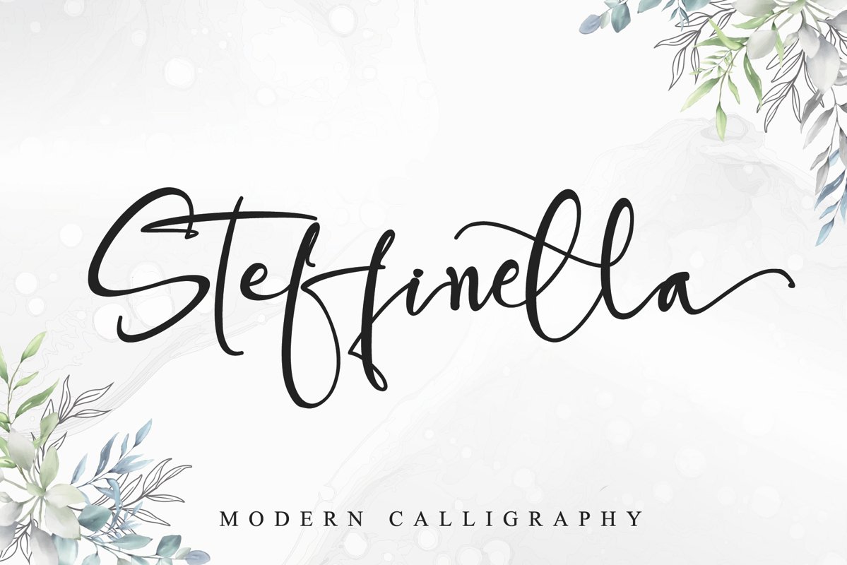 Steffinella example image 1