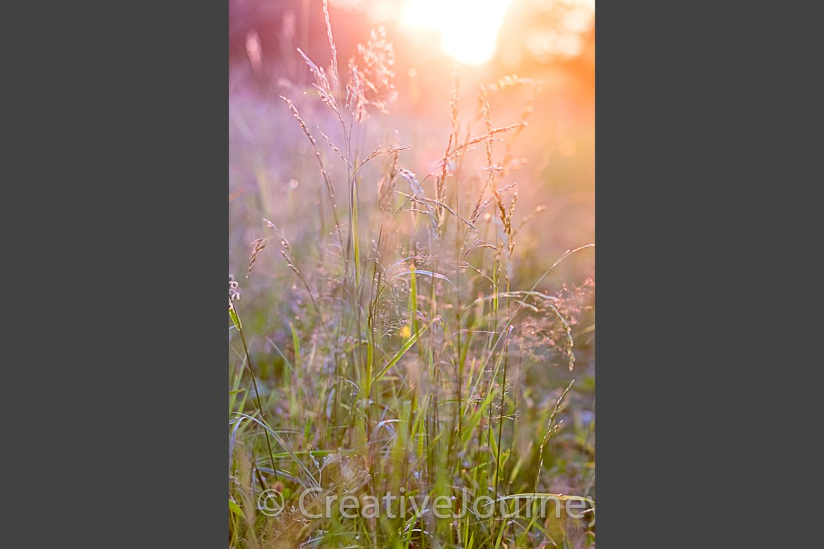 Blurred nature background. example image 1