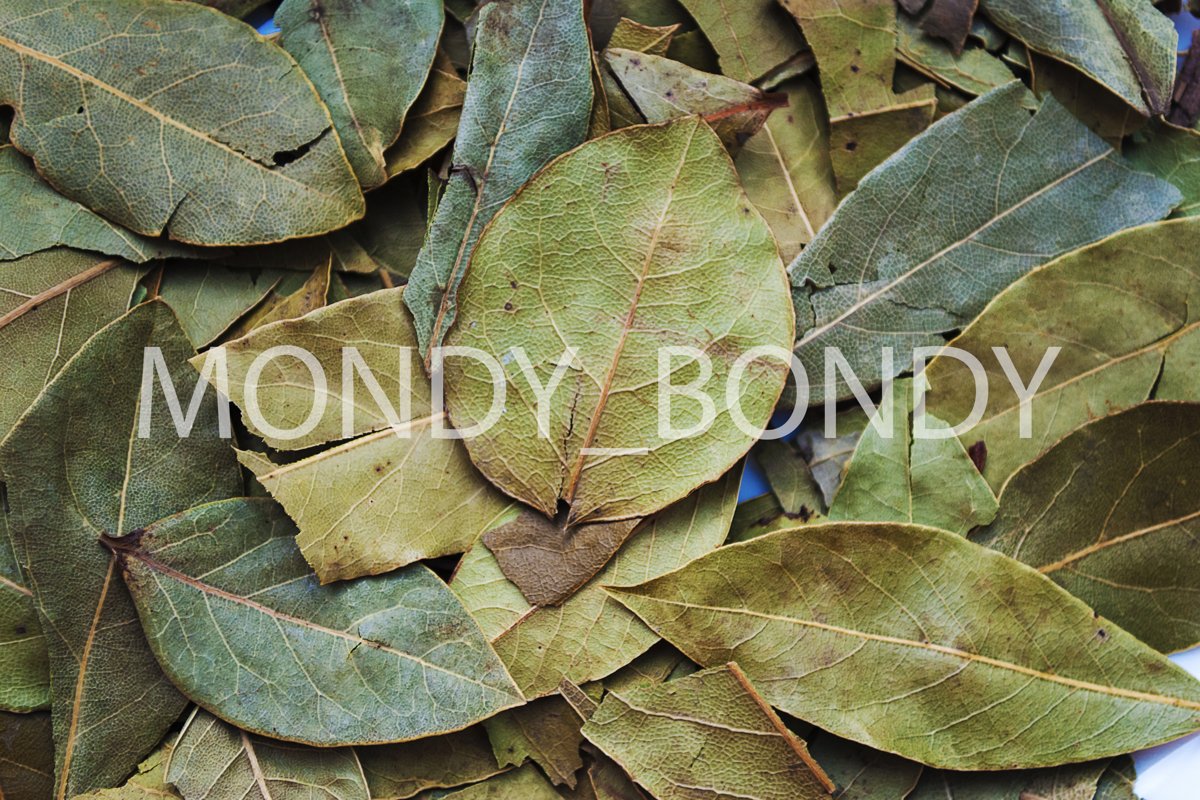 Bay leaves close up. Dried herbs Spice for cooking. Cooking example image 1