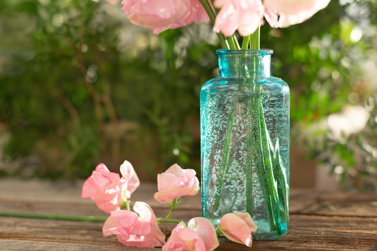 Pink sweet peas Lathyrus flowers in blue vase. Wooden table example image 1