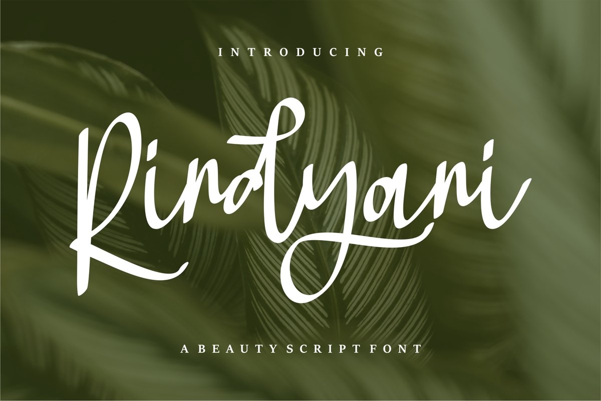 Rindyani - A Beauty Script Font example image 1