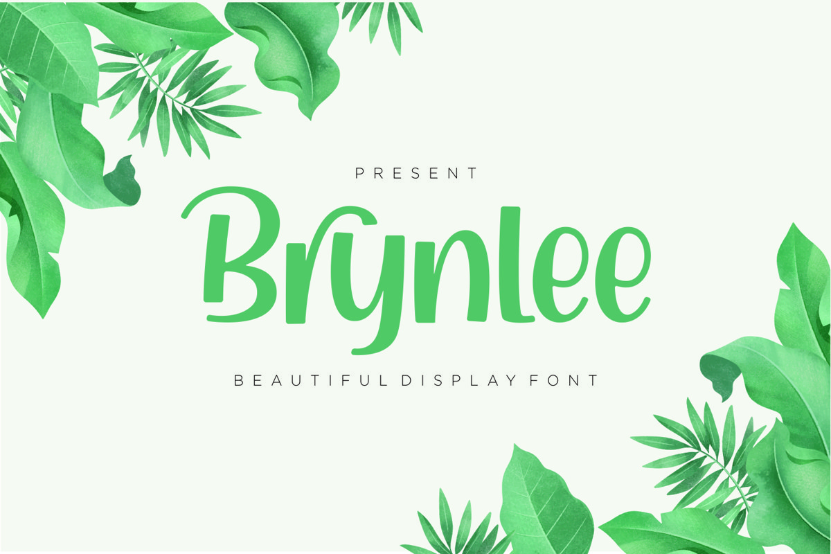 Brynlee - Beautiful Display Font example image 1