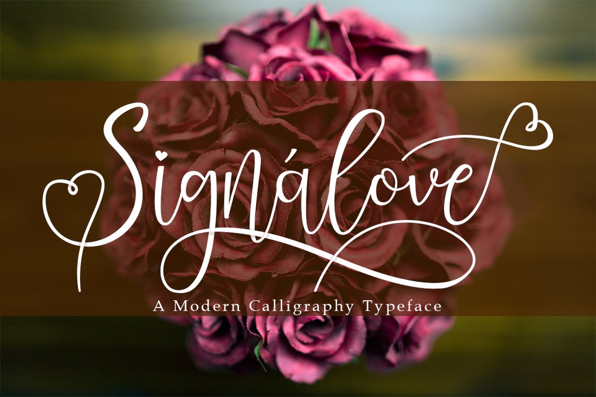 Signalove | Modern Calligraphy Typeface example image 1