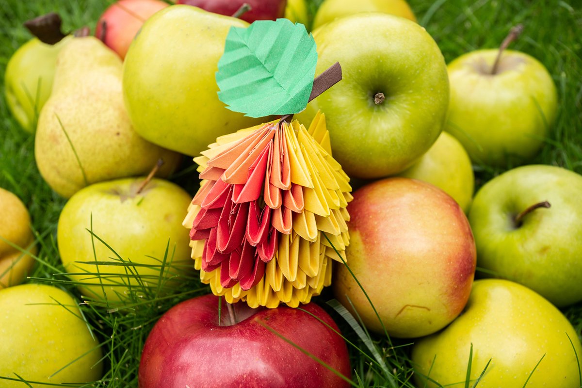 Autumn Apple harvest background wicker basket on green grass example image 1