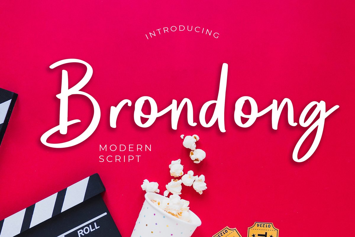 Brondong Modern Script Font example image 1