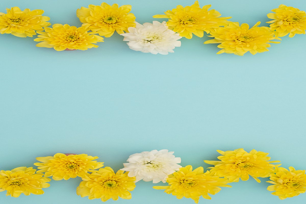 Yellow and white flowers on blue background. example image 1