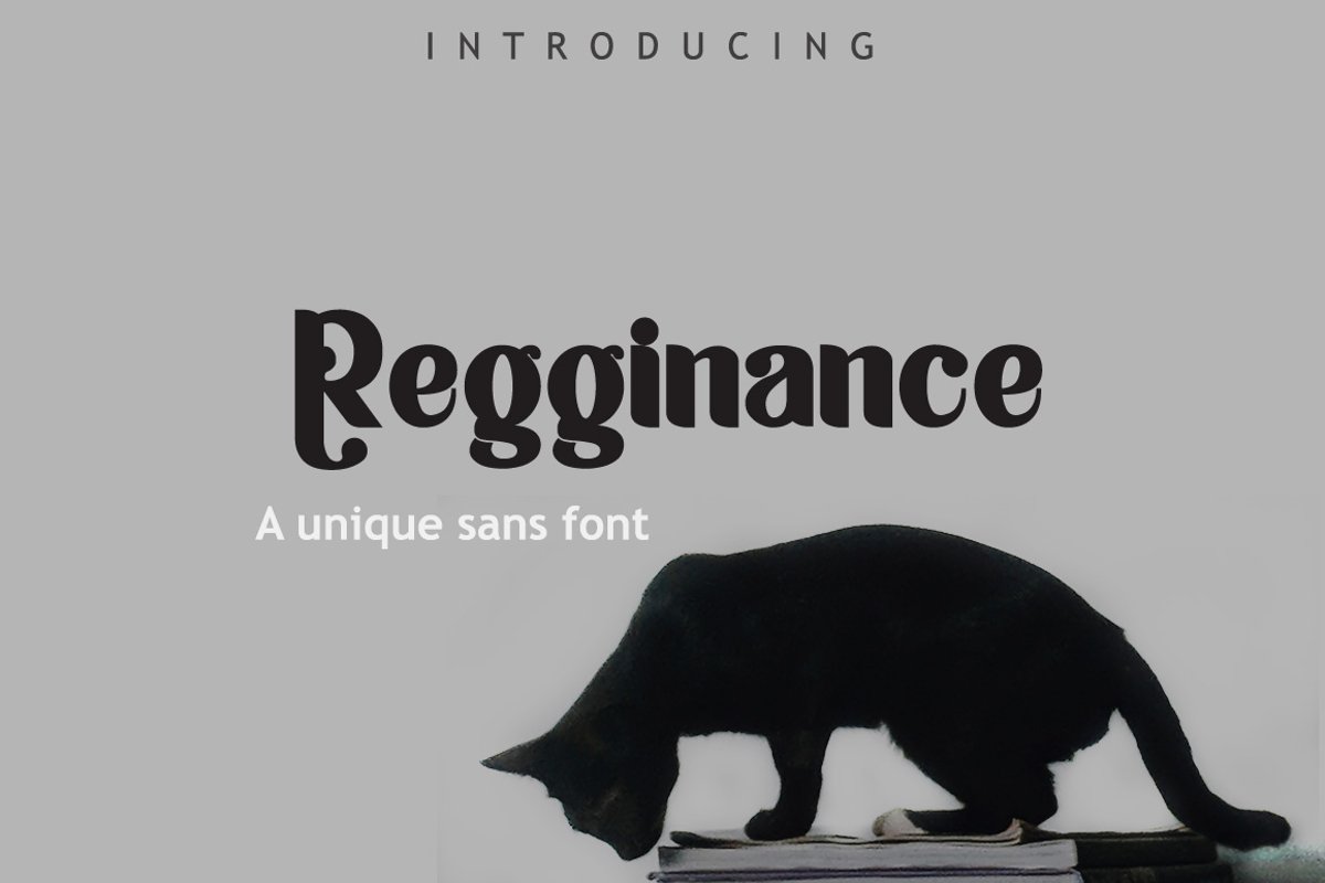 Regginance Font example image 1