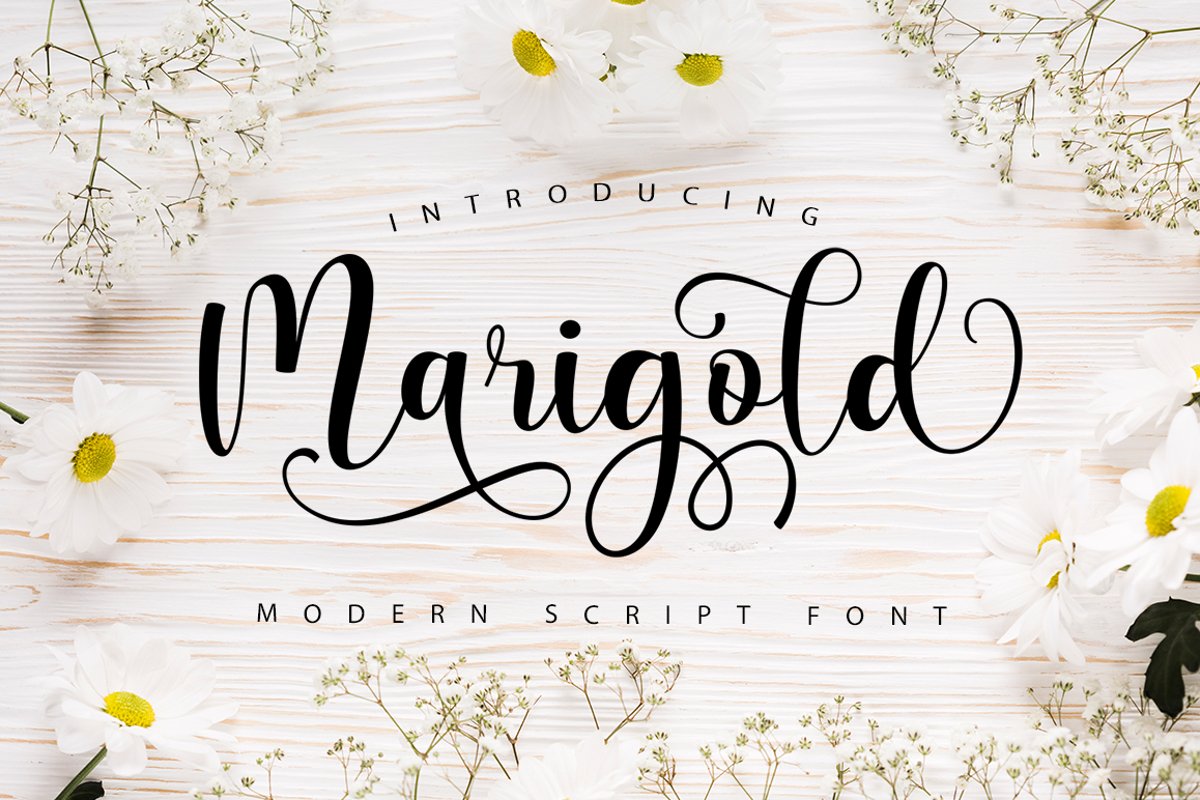 Marigold Script example image 1
