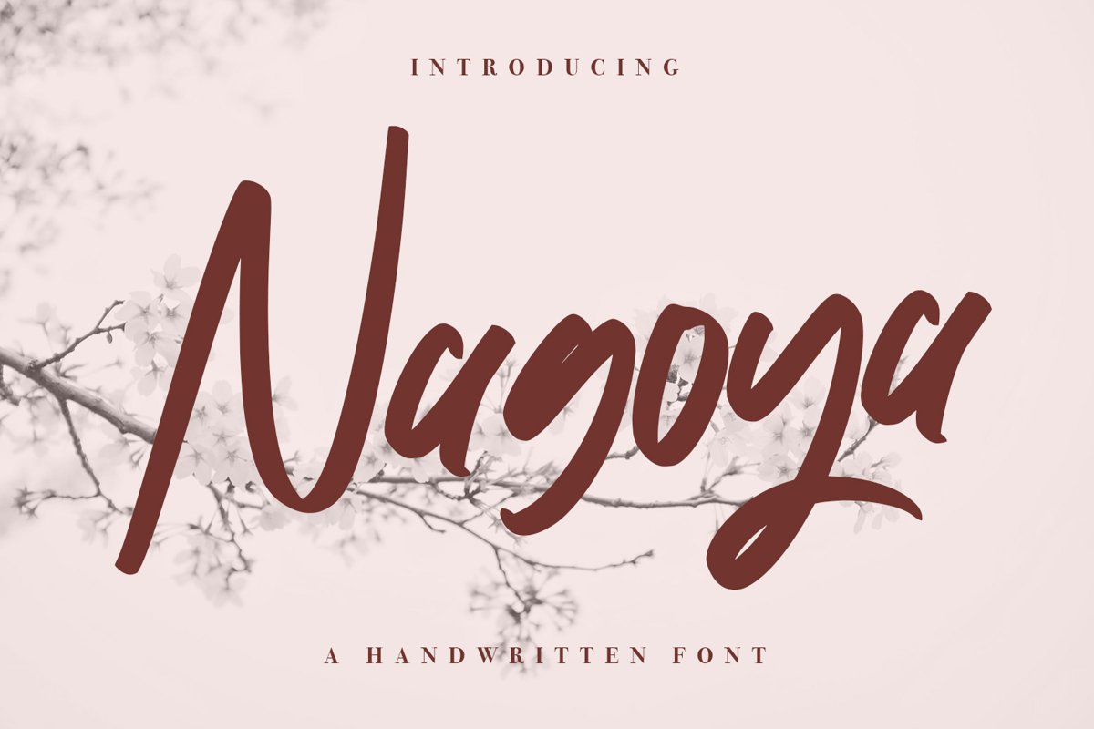 Nagoya - Handwritten Font example image 1