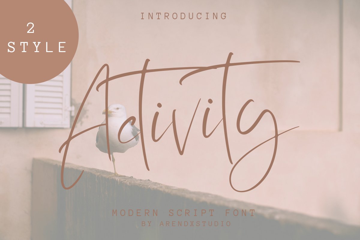 Activity Modern Script Font example image 1