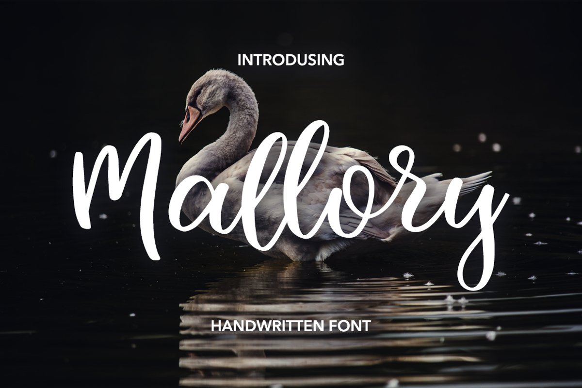 Mallory Script example image 1