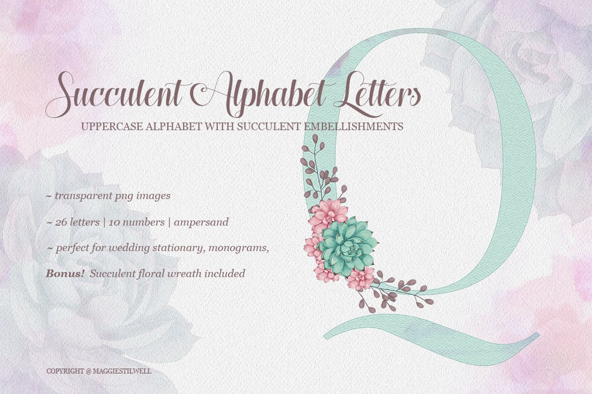Succulent Alphabet Letters example image 1
