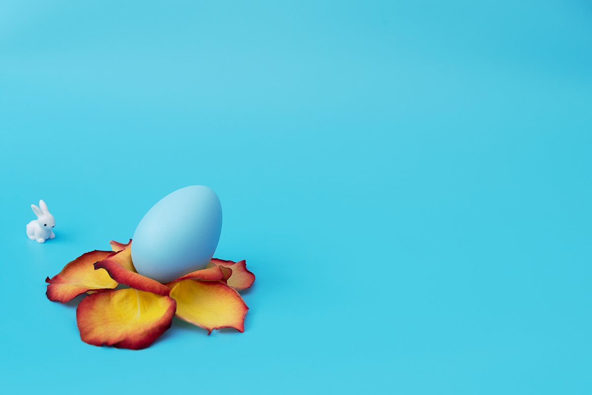 Blue Easter egg stands in yellow flower made of rose petals example image 1