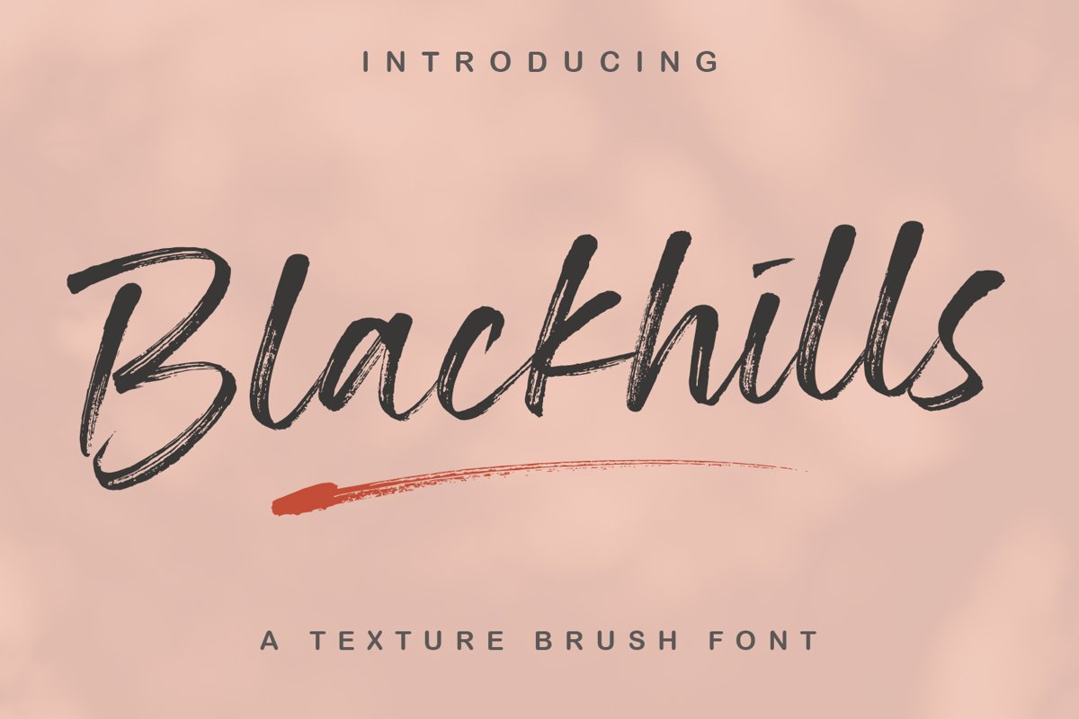 Blackhills - Brush Fonts example image 1