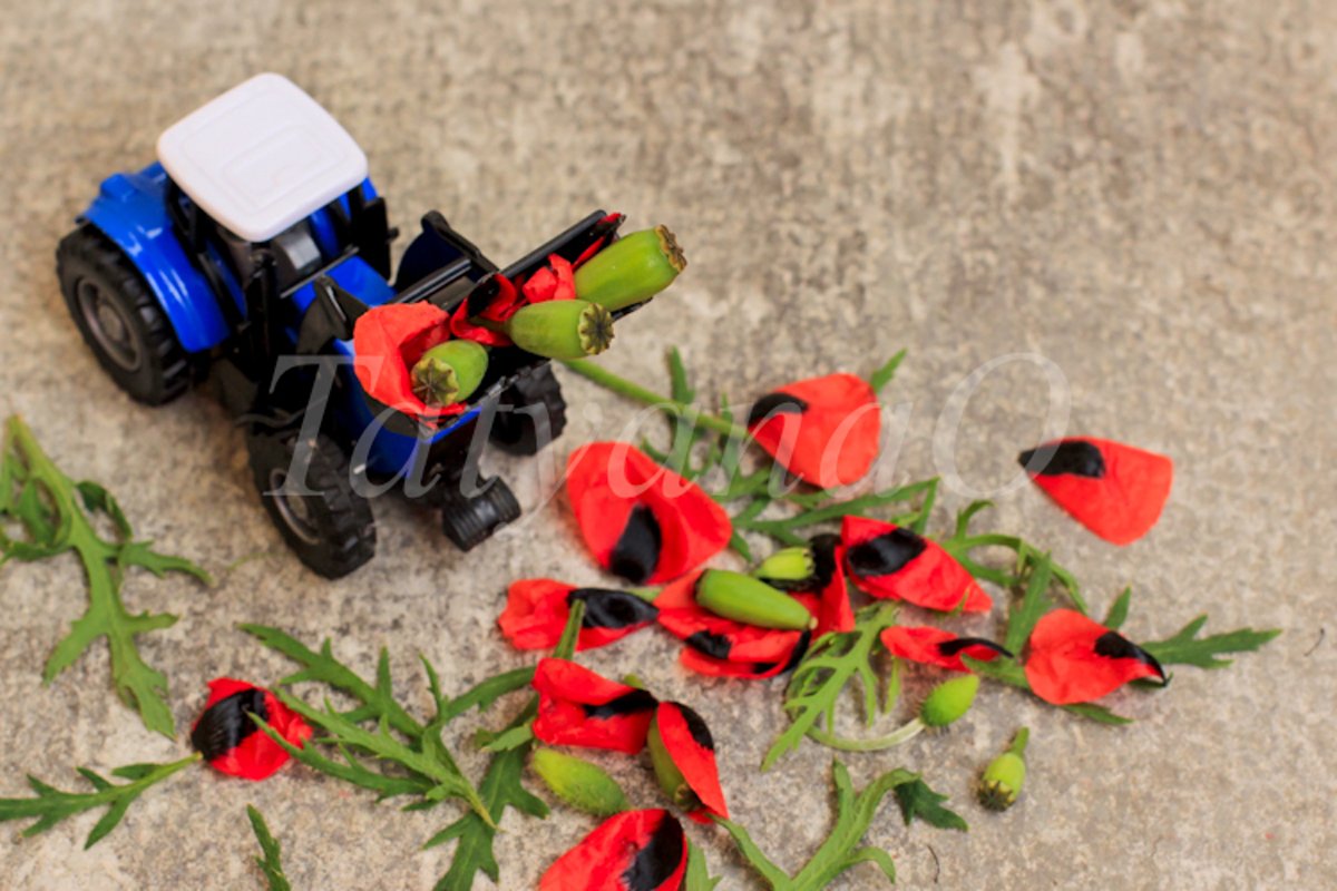 Toy tractor, excavator removing red poppies, corn poppy. example image 1