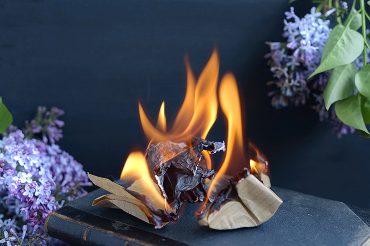 book is burning example image 1