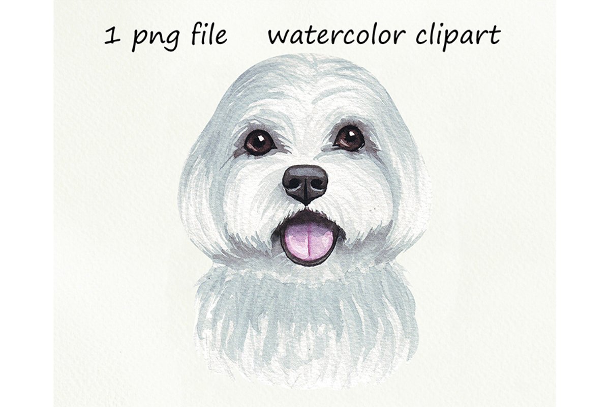 Watercolor dog png, Maltese dog, hand drawn example image 1