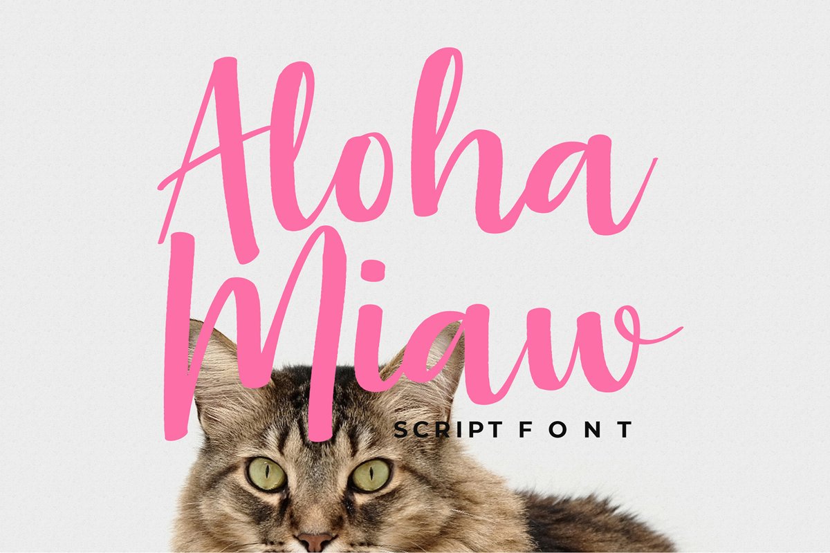 Aloha Miaw Script Font example image 1