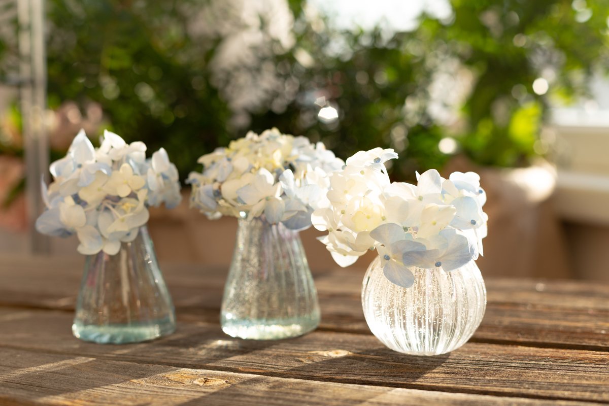 Blue hydrangea in crystal vase on wooden table. Home garden example image 1