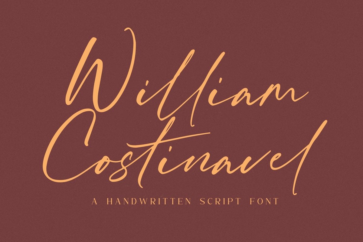 William Costinavel example image 1