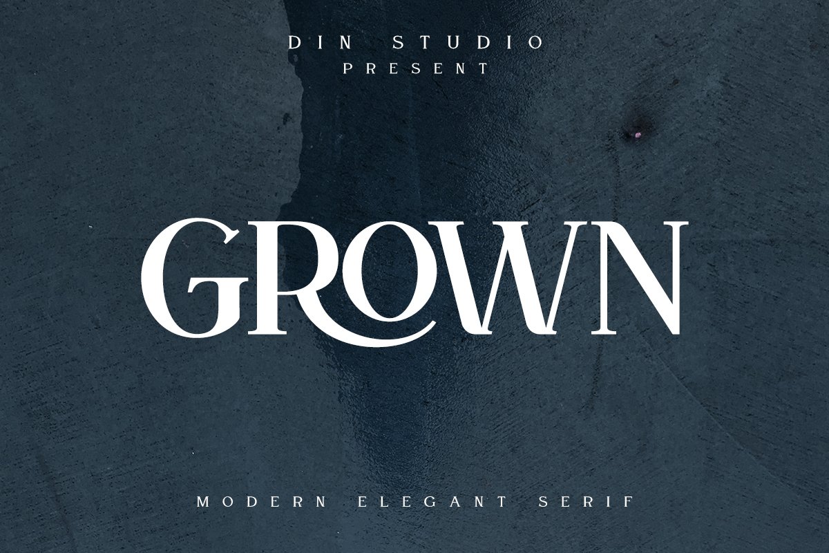 GROWN - Modern Serif example image 1