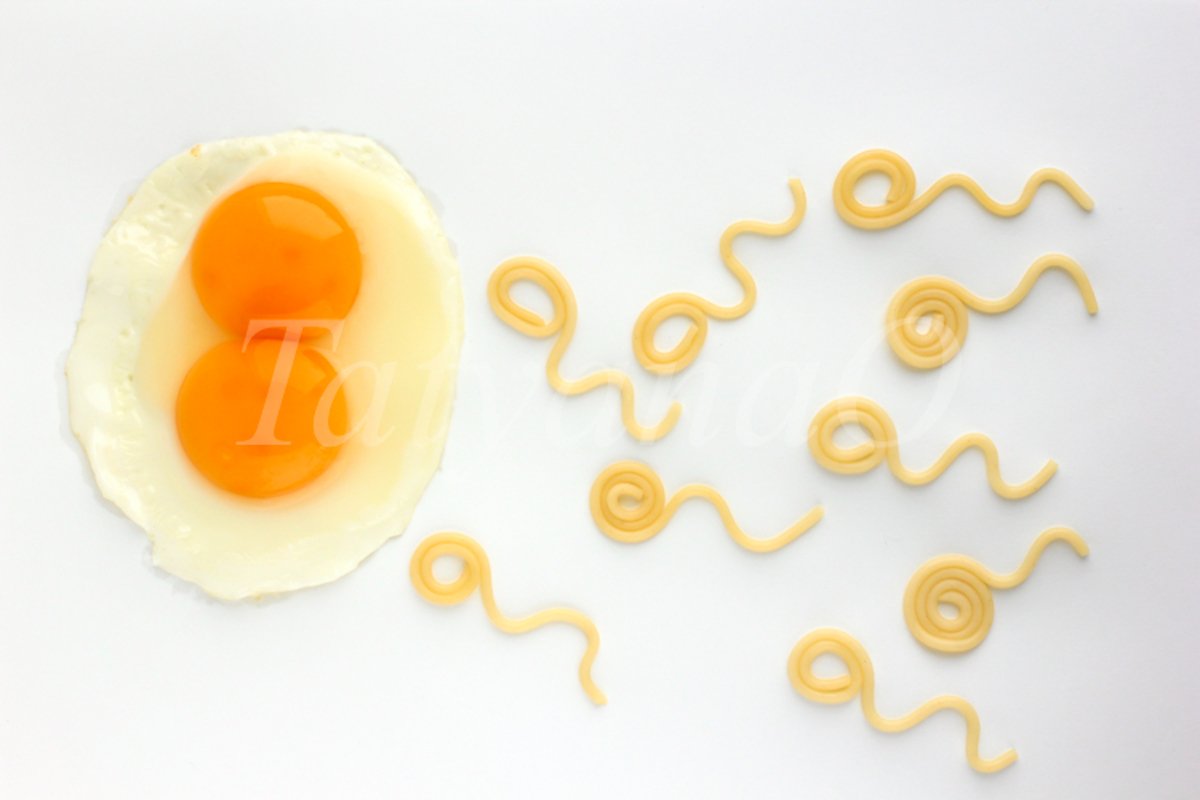 Trendy concept of fertilization, twins, Valentine's day example image 1