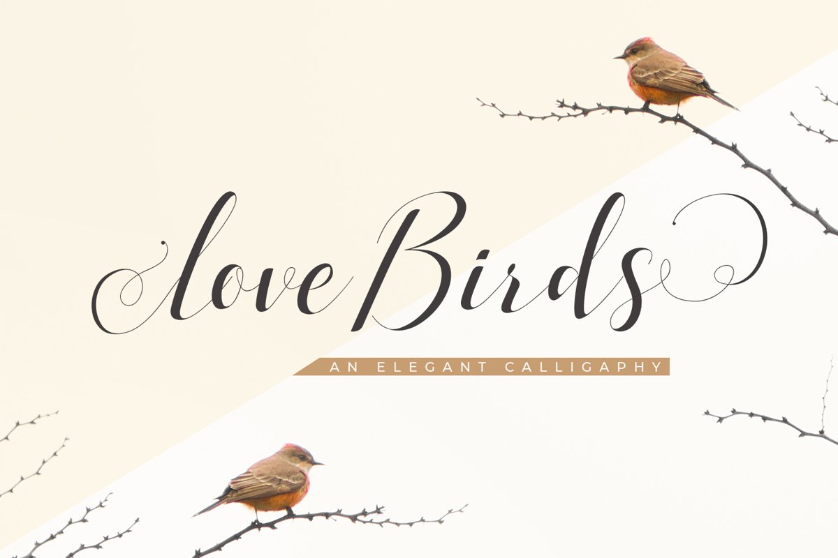Love Birds example image 1