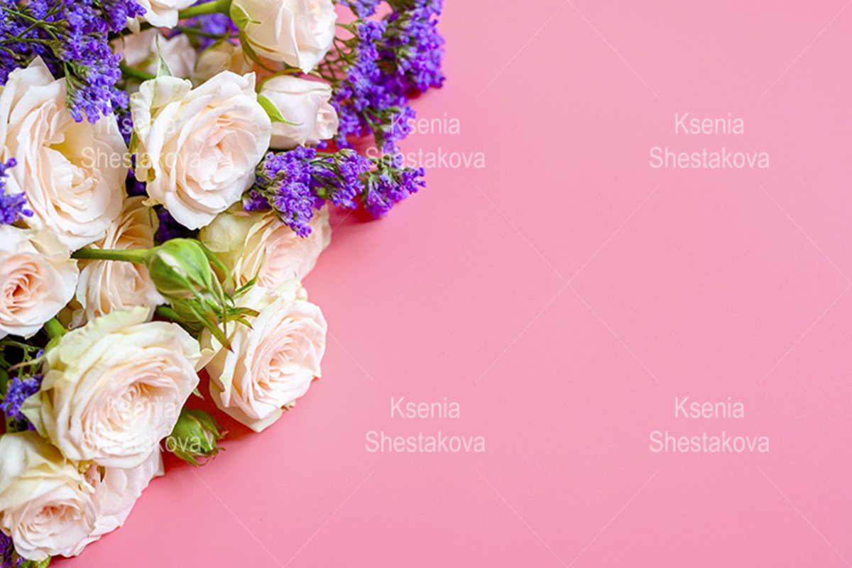 roses and purple flowers in full bloom on a pink background example image 1