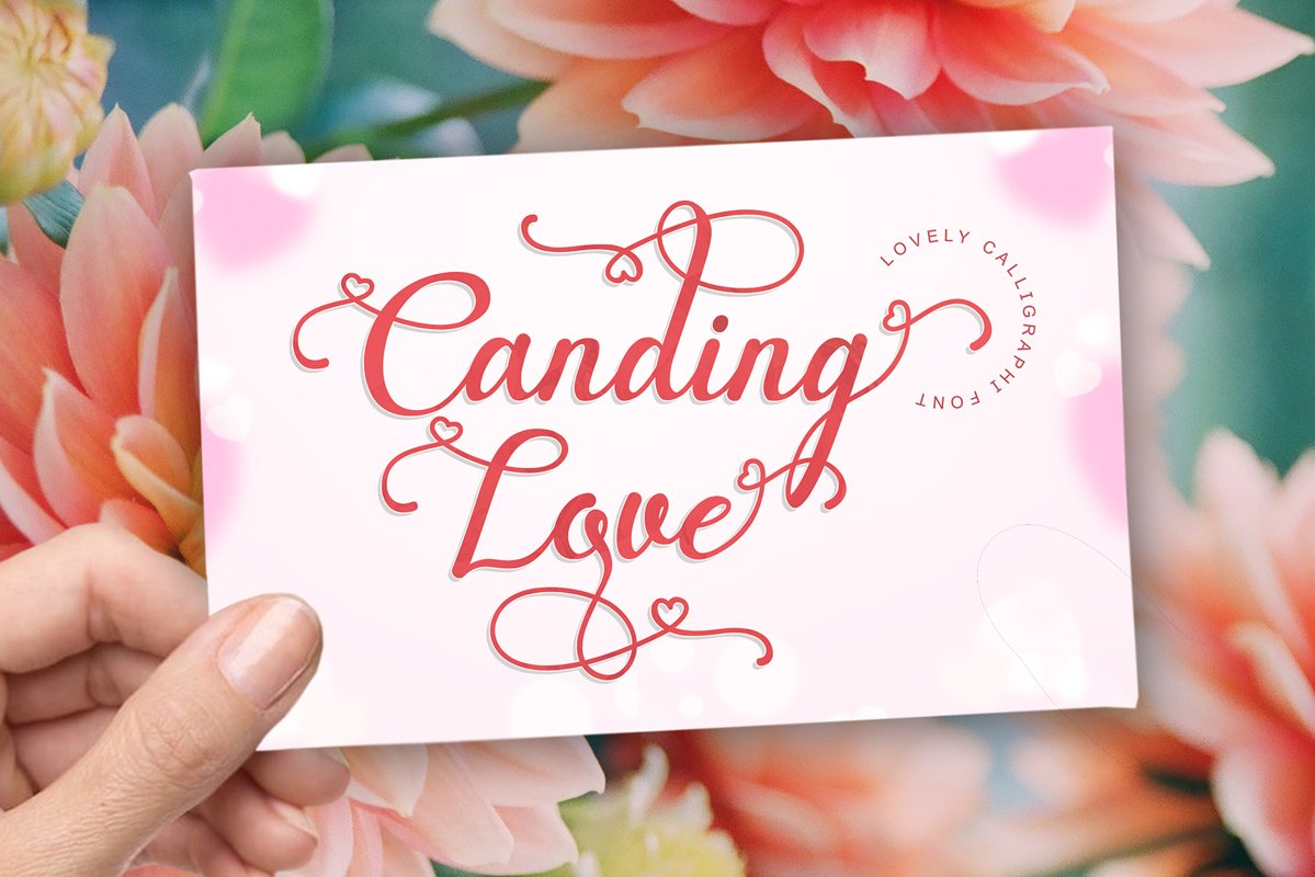 Canding Love - Script font Type face example image 1