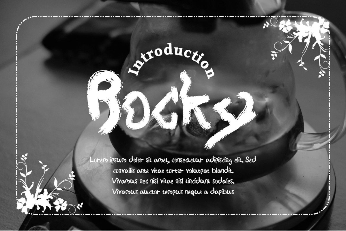 Rocky example image 1