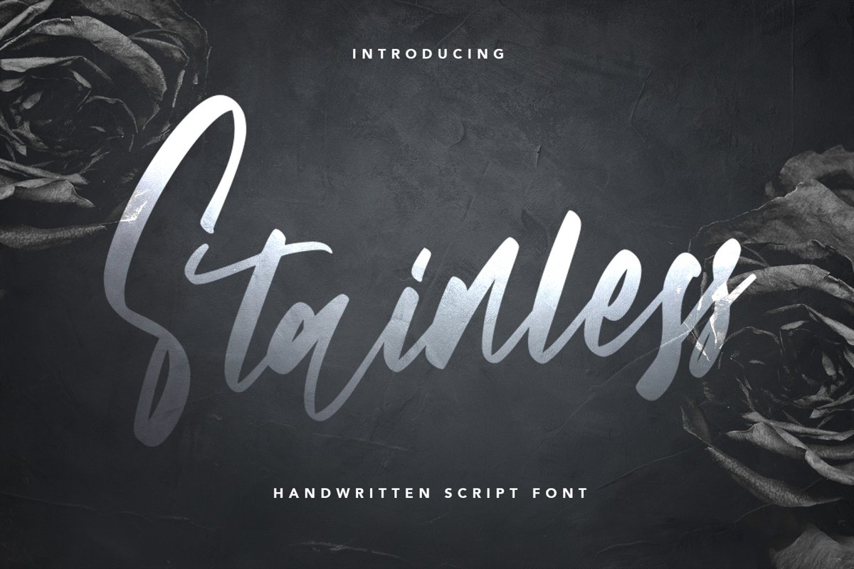 Stainless - Handwritten Script Font example image 1