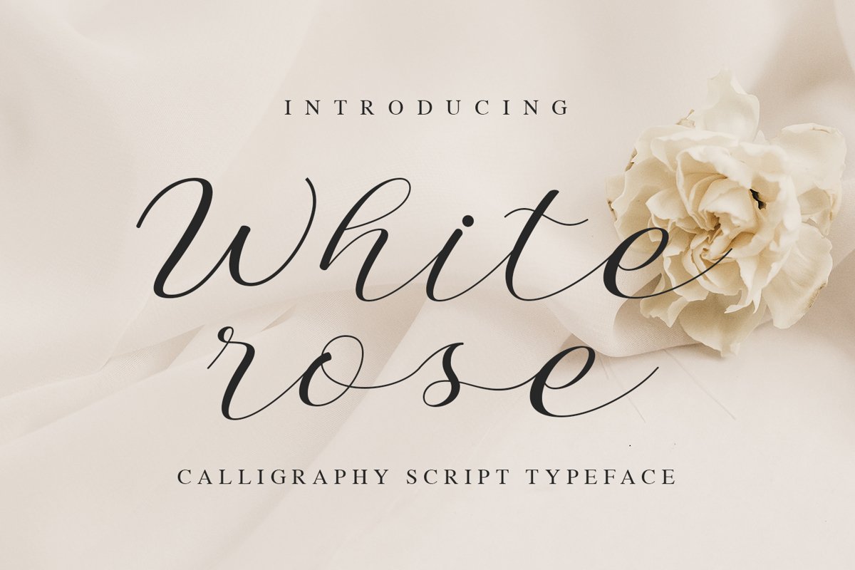 White Rose example image 1