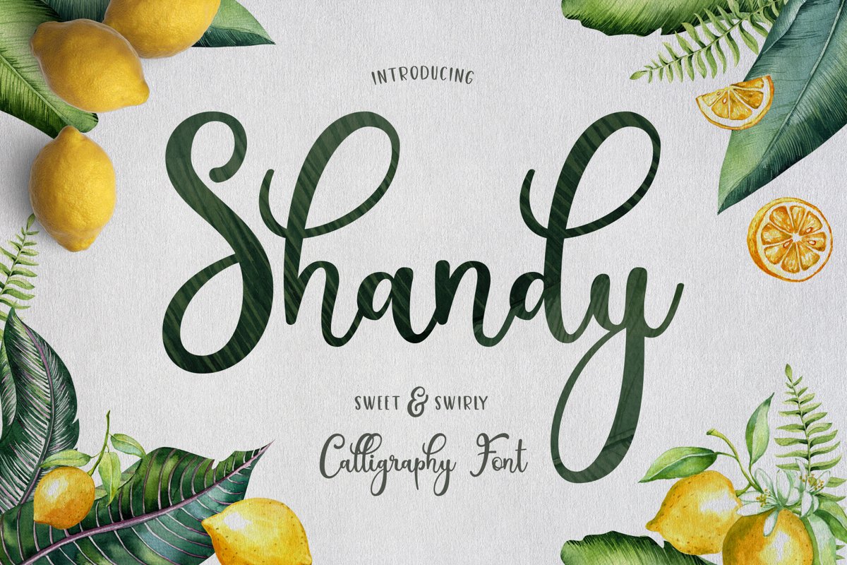 Shandy example image 1