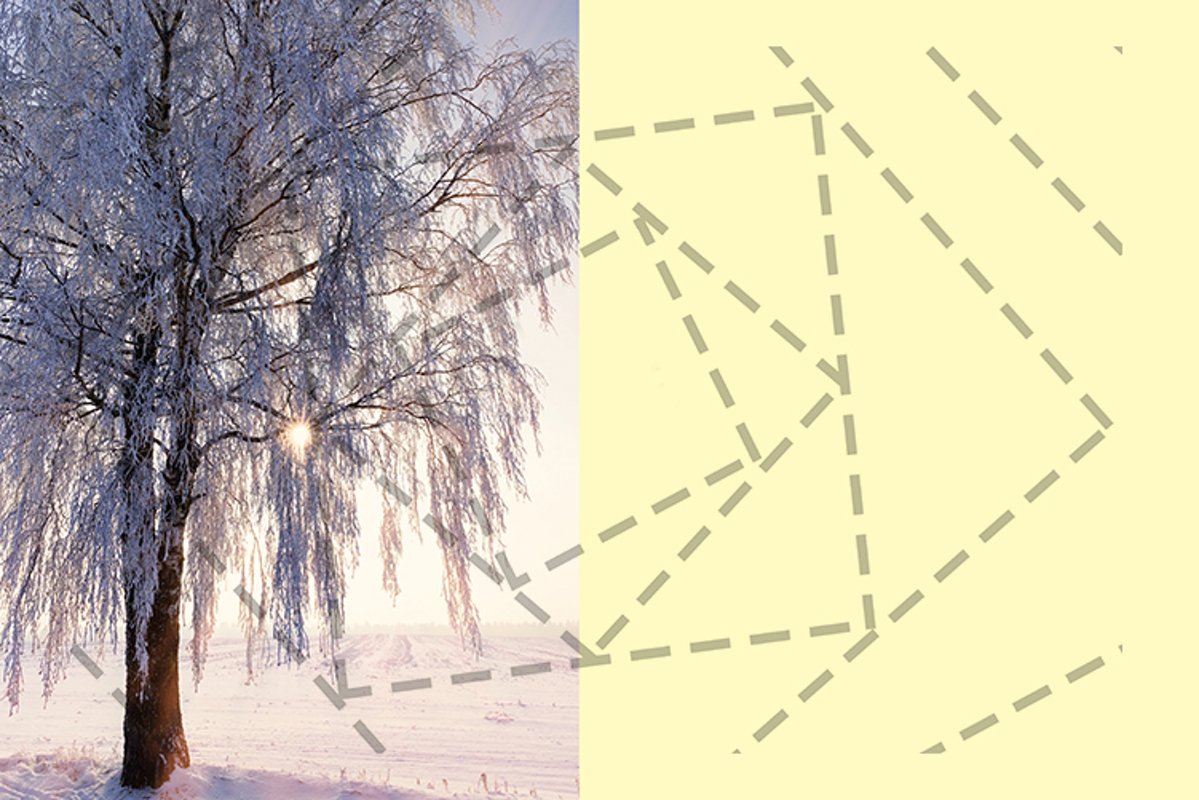 birch snow sunset example image 1