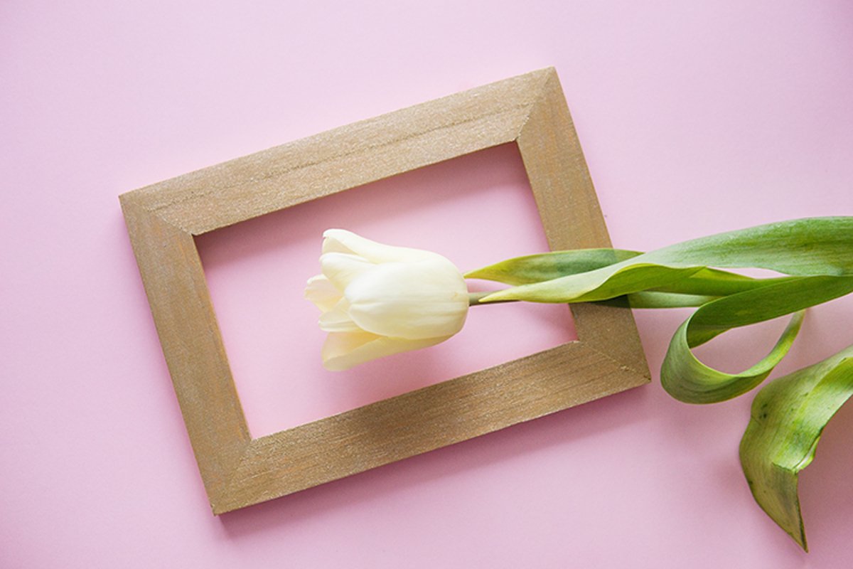 Yellow Tulip flowers are arranged on a pink background. example image 1