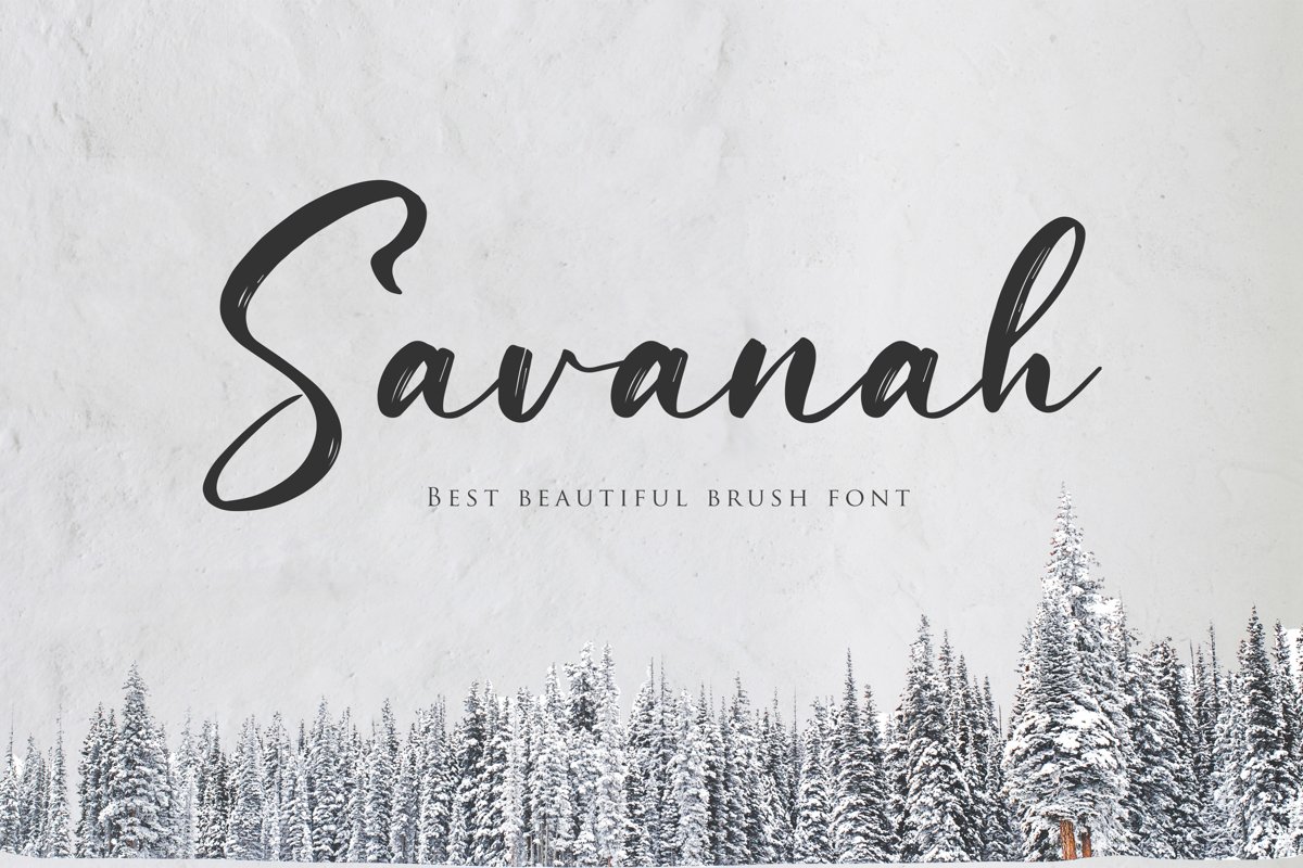 Savanah, a Brush Script Font example image 1