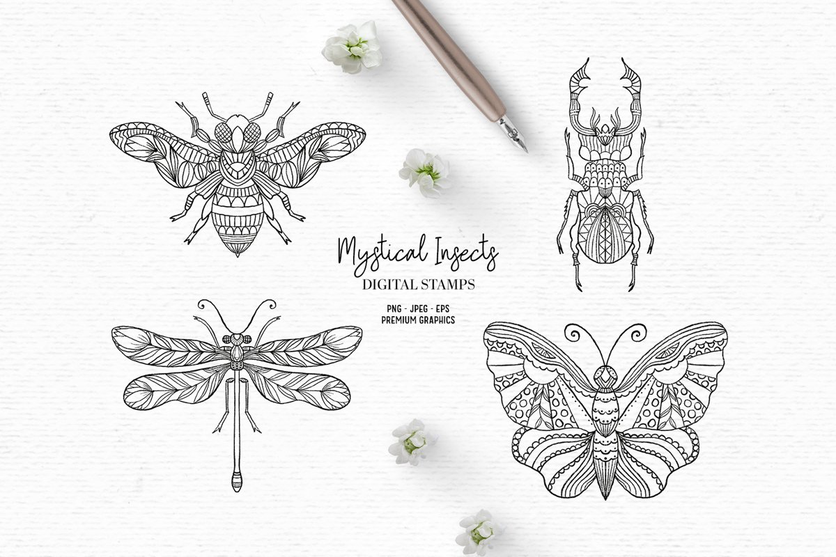 Hand drawn digital stamps with insects | Boho clipart example image 1