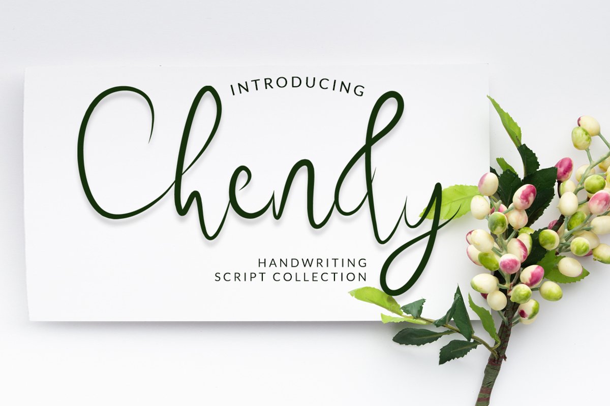 Chendy example image 1