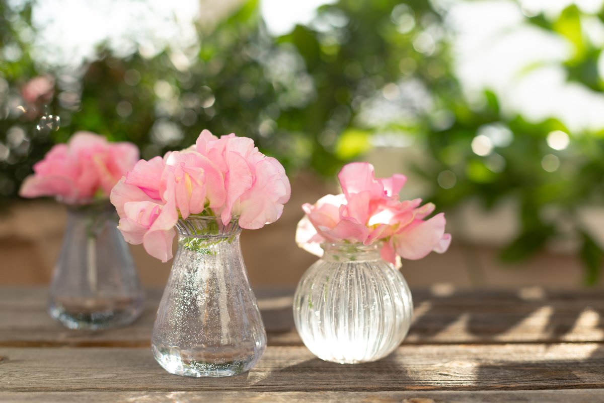 Blue hydrangea,pink sweet pea Lathyrus,roses in crystal vase example image 1