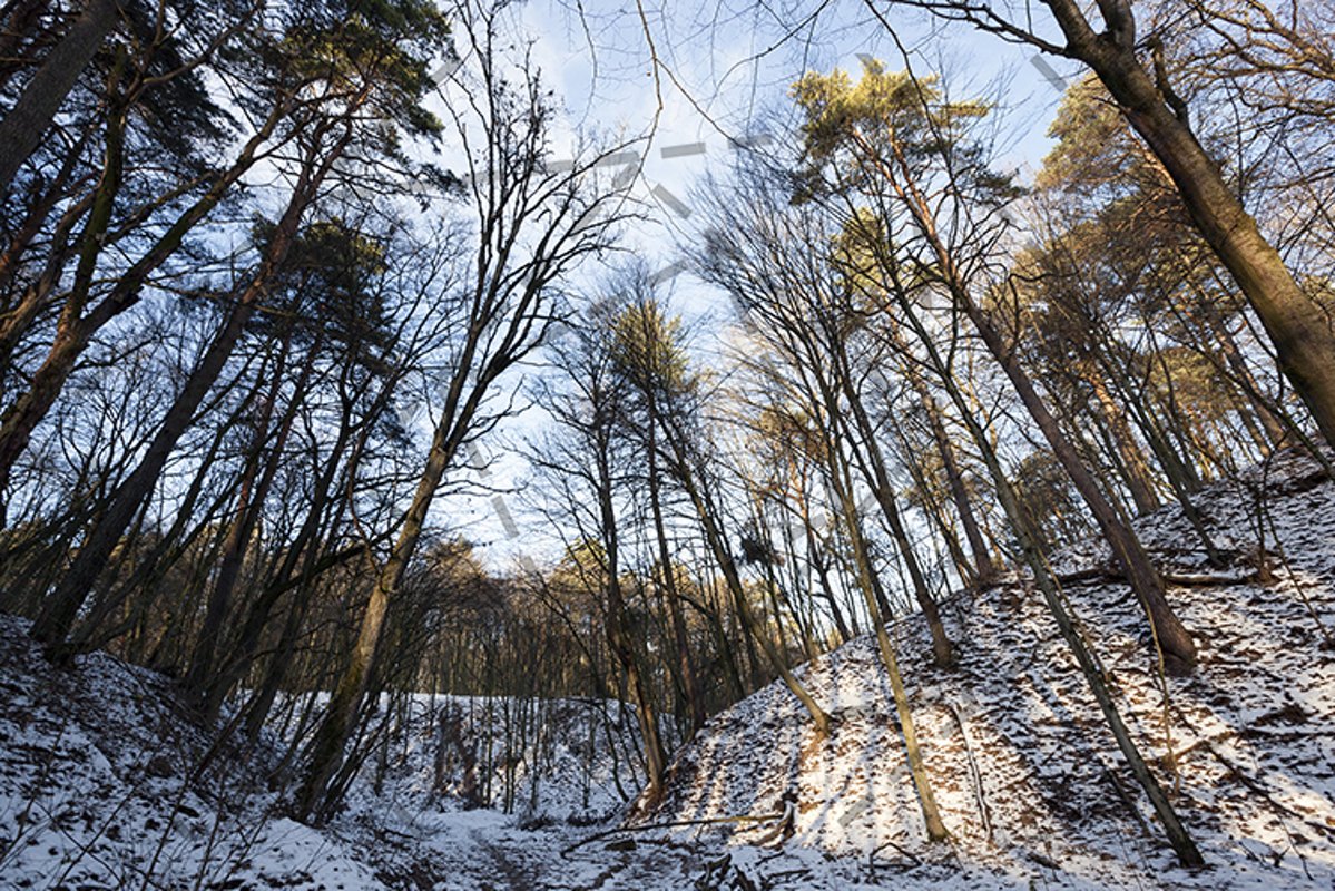 Snow drifts in winter example image 1