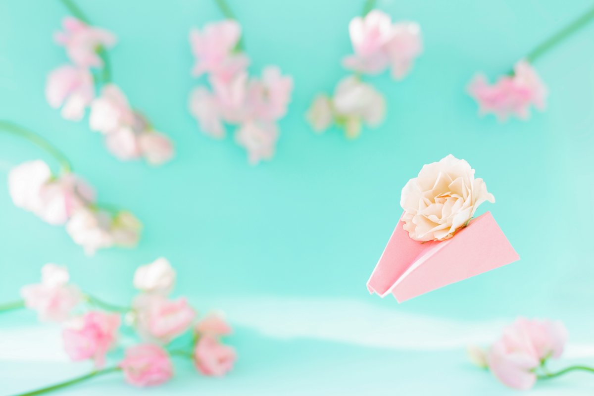Paper airplane, pink sweet peas Lathyrus, rose flowers. Blue example image 1