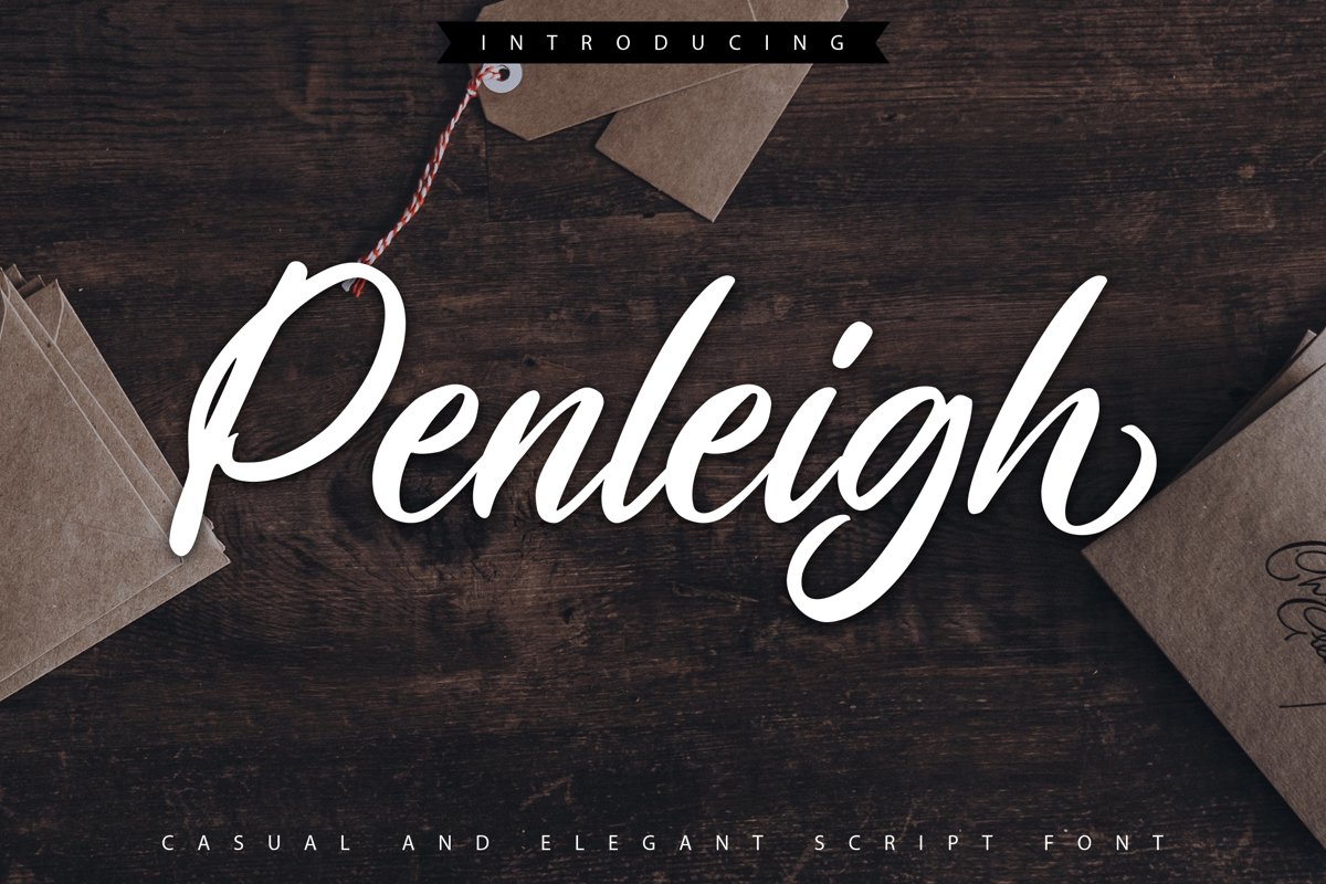 Penleigh | Casual & Elegant Script Font example image 1